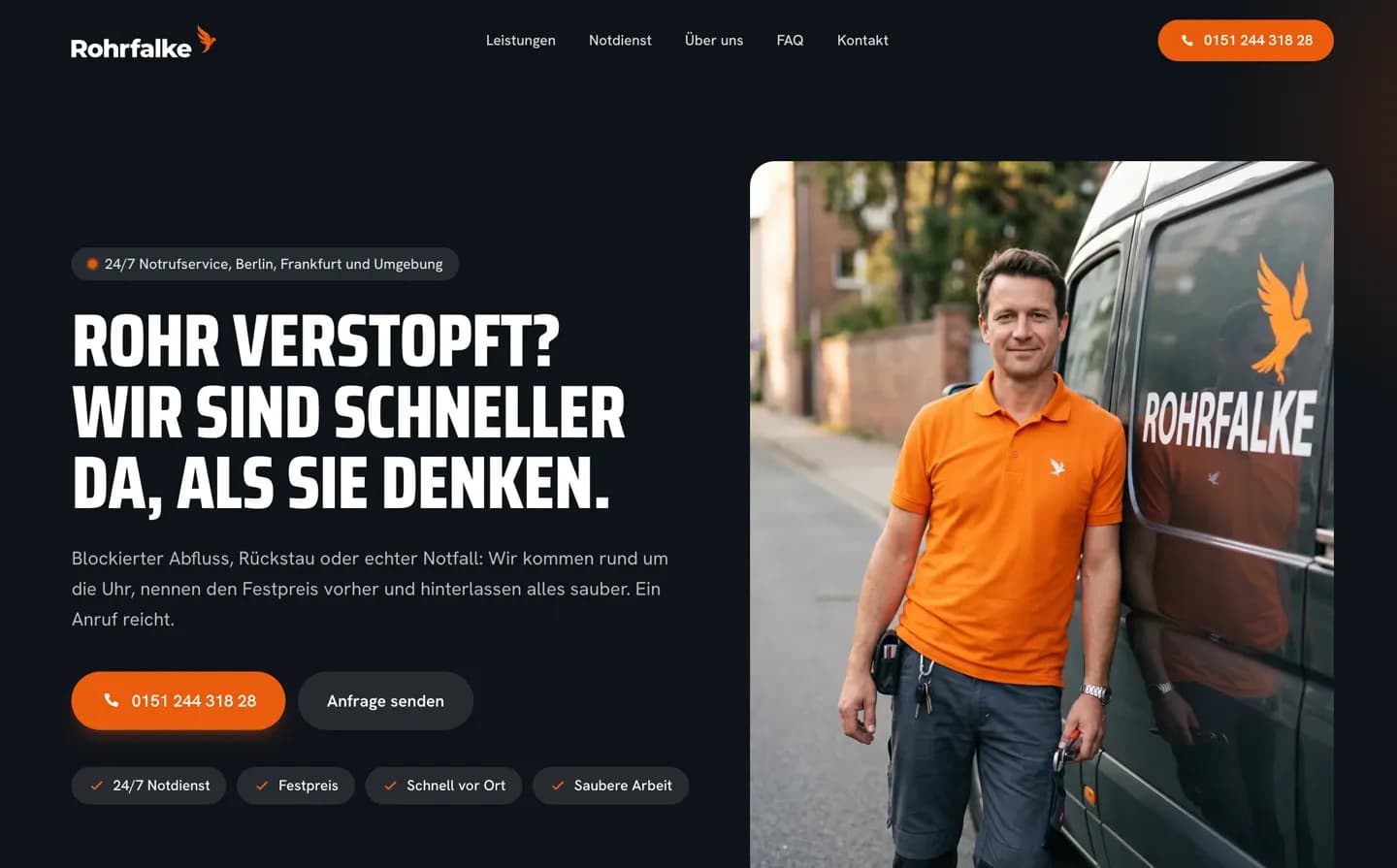 Vorschau von Rohrfalke